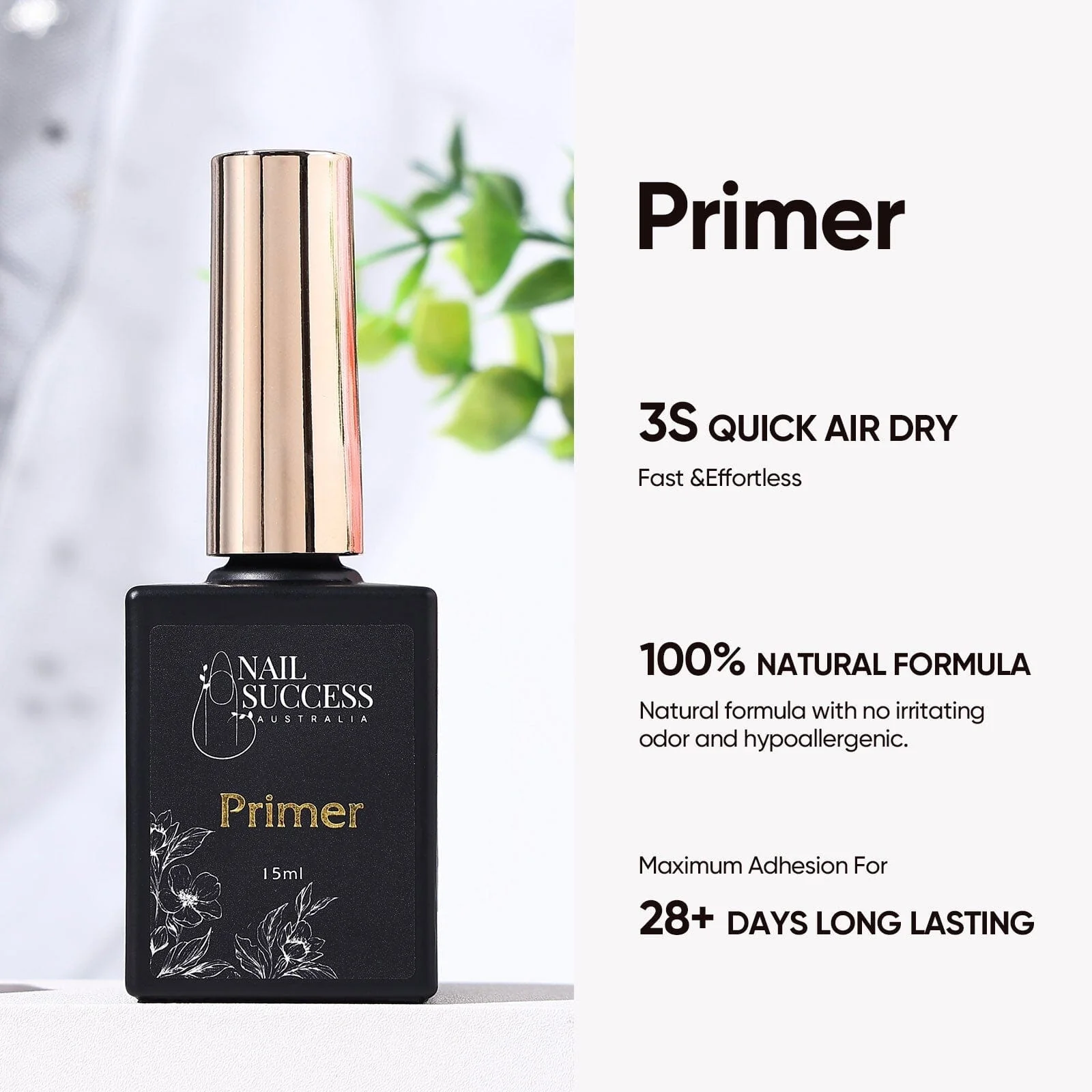 Primer - Image 2