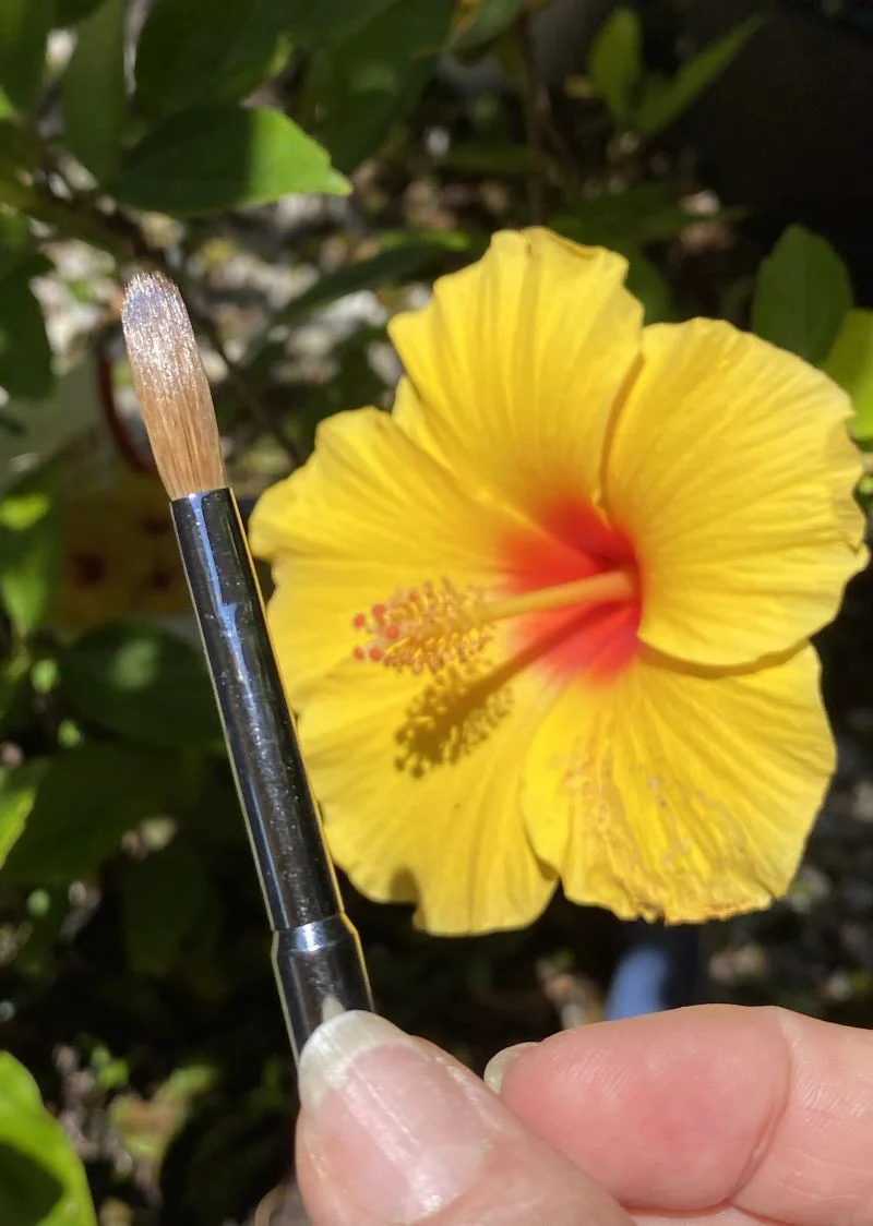 Grand Kolinsky Acrylic Brush #8 Metal Handle + Cap - Image 4