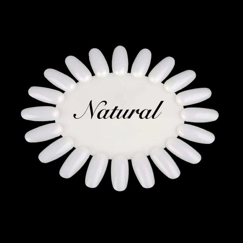 Oval Display Wheel - Image 4